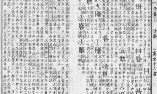 草果入药是用壳还是用籽-药用草果必须炮制吗网 - 药用草果必须炮制吗对吗,草果药用是皮还是用籽